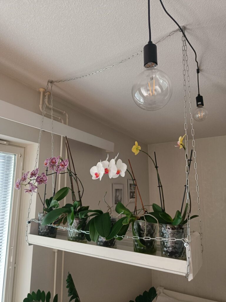 🌸 1 Hour Build: The Hanging Shelf of Elegance
